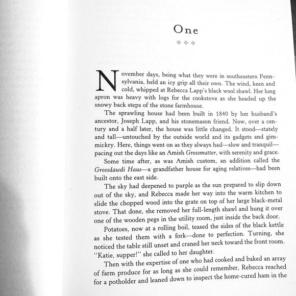 Heritage of Lancaster County by Beverly Lewis (3-in-1 Collection) Amish Fiction - Picture 7 of 8